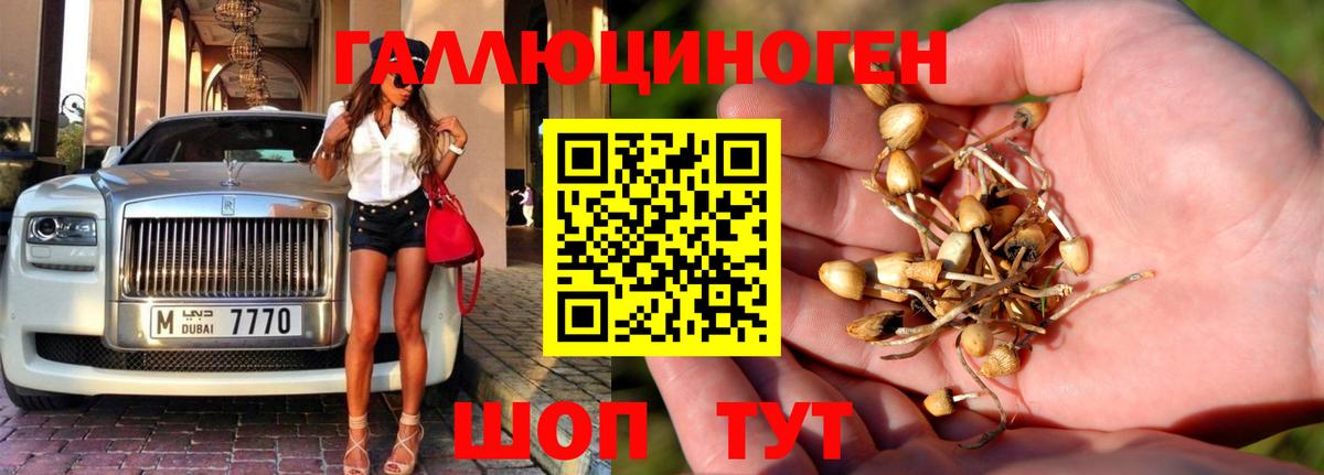 Сухой Лог  Псилоцибиновые грибы MAGIC MUSHROOMS  купить  сайты  Вход с VPN 